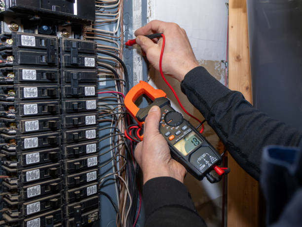 Best Electric Panel Repair  in Dunkirk, NY
